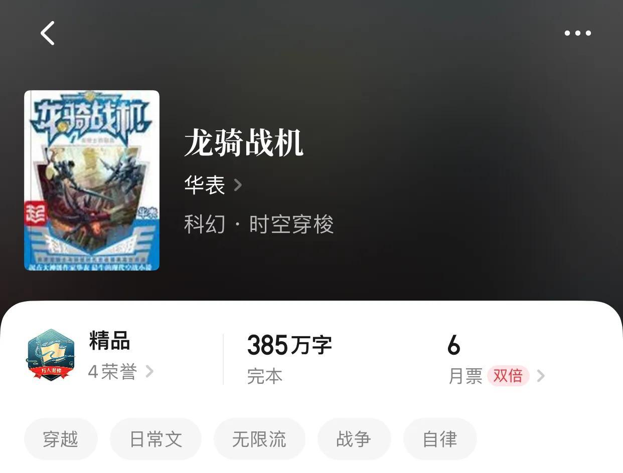 8,龙骑战机.作者:华表.