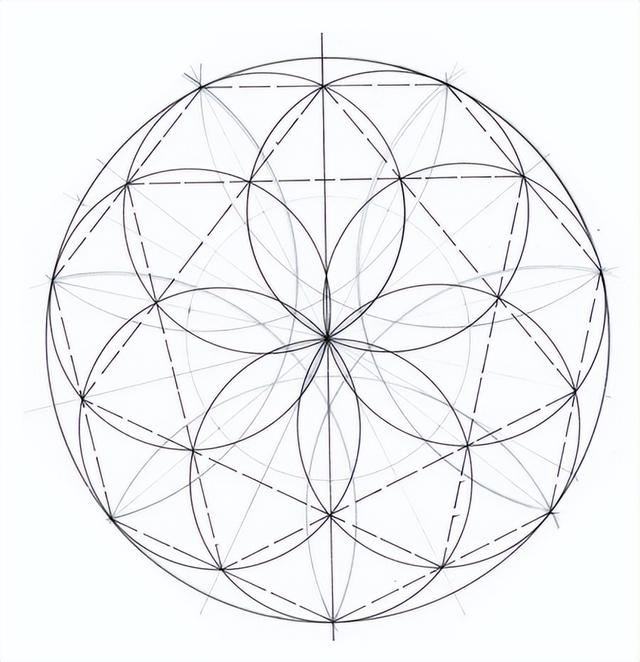 花朵的构造有哪些，花朵的组成结构（暴力拆解花朵的几何结构）