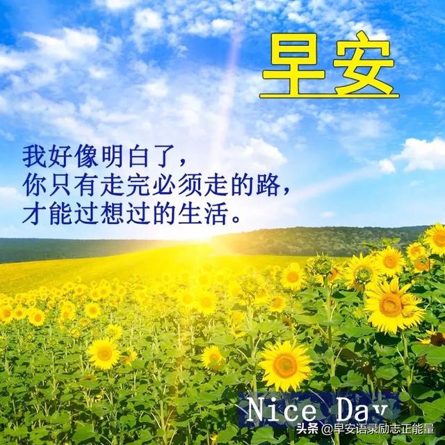 抖音语录经典语录，抖音上的说说经典语录（正能量早安发朋友圈的句子）