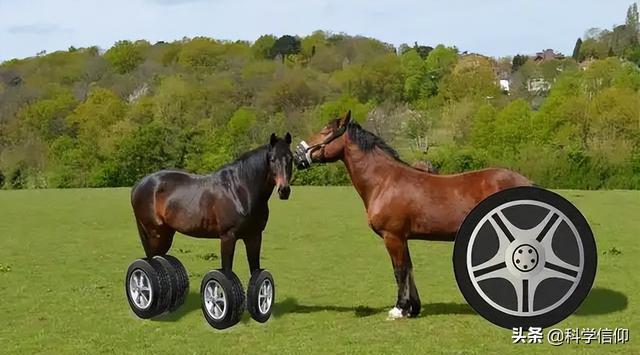 车轮为什么是圆的，车轮为什么是圆的说理视频（动物为什么没有进化出轮子腿）