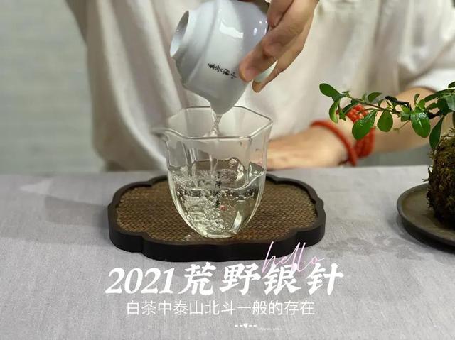 白毫银针怎么泡，白毫银针如何冲泡（好几千买的白毫银针）