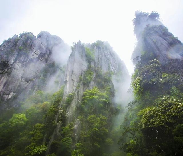 cctv13新闻频道直播，在电脑上怎么看CCTV-13新闻频道直播（羊狮慕景区直播预告，快来围观）