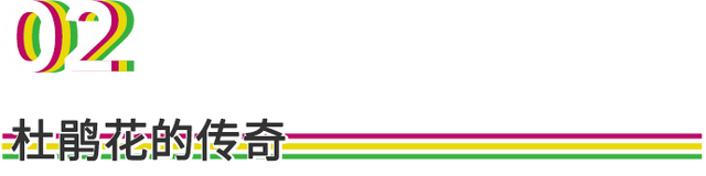 用来比喻爱情的动物，用动物比喻爱情的句子（也该成为四川人的恋爱标配）