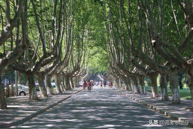 南京农业大学是几本，南京农业大学几本大学（偏冷的农林类院校）