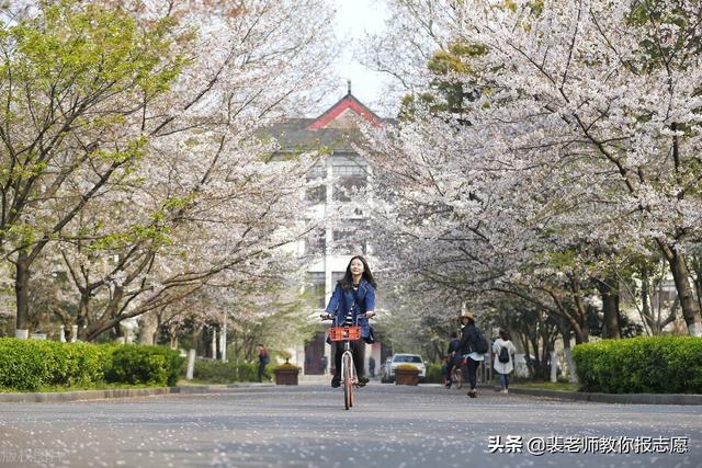 南京师范大学热门专业有哪些，附南京师范大学冷门专业排名（江苏省最好15所大学的王牌专业解读）
