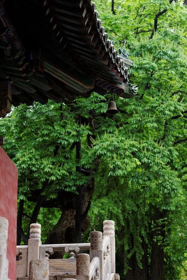 北京风景优美的地方，北京十大最值得去的景点（古寺寻幽、山林品茶）