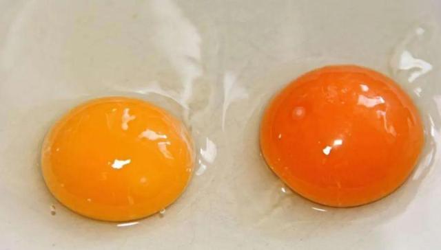 可不可以吃羊脑，羊脑能吃吗（心血管疾病患者要少吃）