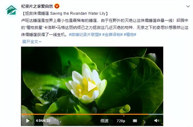 世界上最小的花是什么花，40种最美的花（体重6000吨，活了上万年）