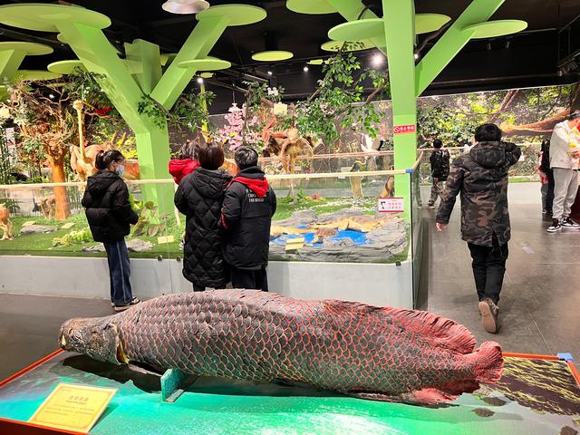 郑州周边免费景点，郑州最近免费旅游景点大全（不出郑州的8个赏花遛娃地）