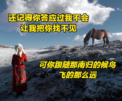 西海情歌歌词刀郎，西海情歌歌词（揭秘刀郎《西海情歌》背后的爱情故事）