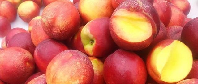 桃子一天吃几个最好，桃子一天吃几个最好吃（但要牢记6个禁忌）
