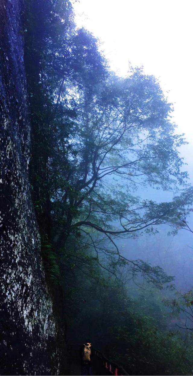 邵阳崀山旅游攻略自驾游，奇秀莨山——自驾游记