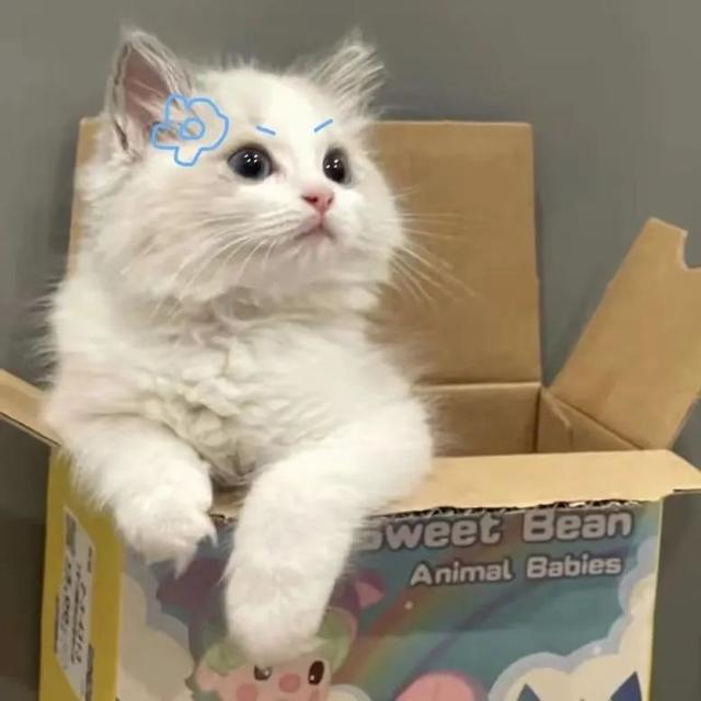 简单可爱一点的微信头像，简单可爱的头像