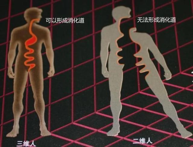 一维到十一维空间图解,带你了解从一维到十一维空间图解(生活在三维空间的我们能到达那里吗) 一维到十一维空间图解,带你了解从一维到十一维空间图解(生活在三维空间的我们能到达那里吗)
