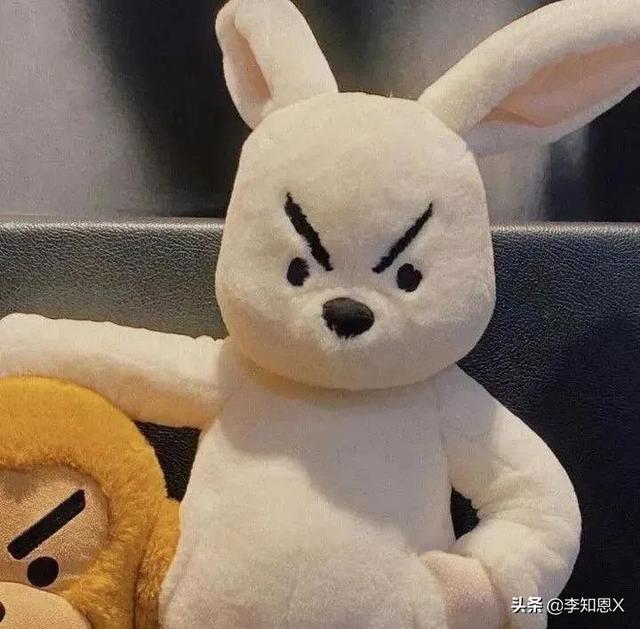 抱猫的女生头像，乔：可爱抱猫女头 人刚认识的时候总是拘谨中带着温柔微信（有趣可爱的情侣头像啊）