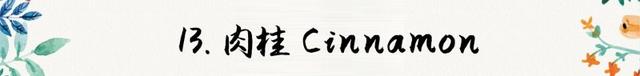 迷迭香是什么，西餐中常用的15种香料和香草（迷迭香是什么时候出的）