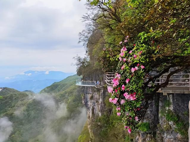 陕西风景区排名，陕西十大景区排名（陕西8大山水景点，你去过几个）