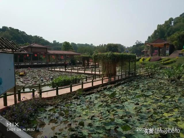 广州莲花山攻略，莲花山旅游攻略（打卡莲花山，你会诗兴大发吗）