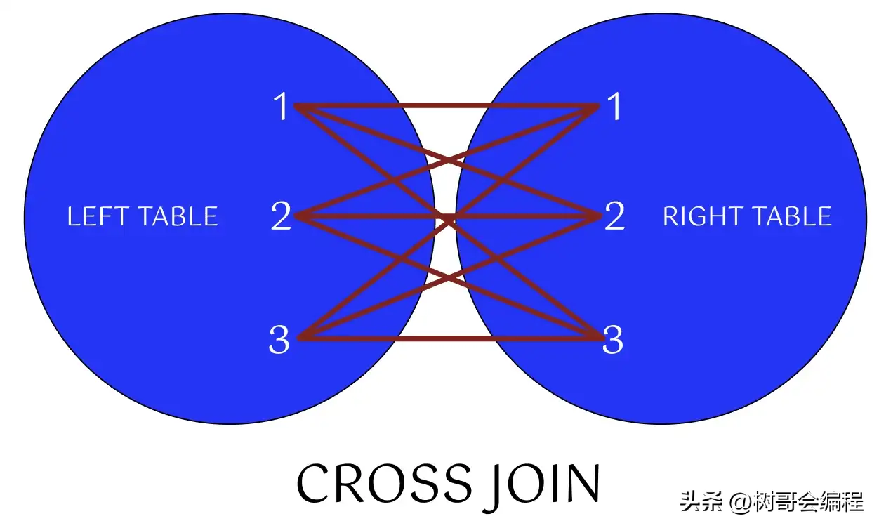 sql数据库开发是什么，sql数据库常用命令