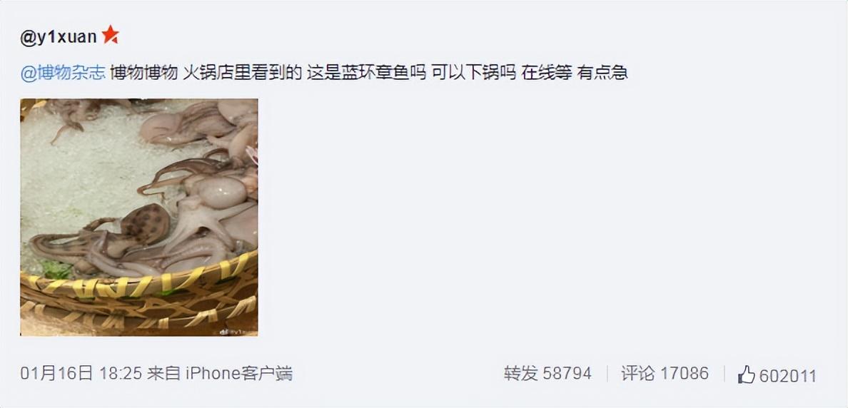 海洋生物名称大全，海洋生物的名称有哪些（来认识一下海洋中的灵长类）