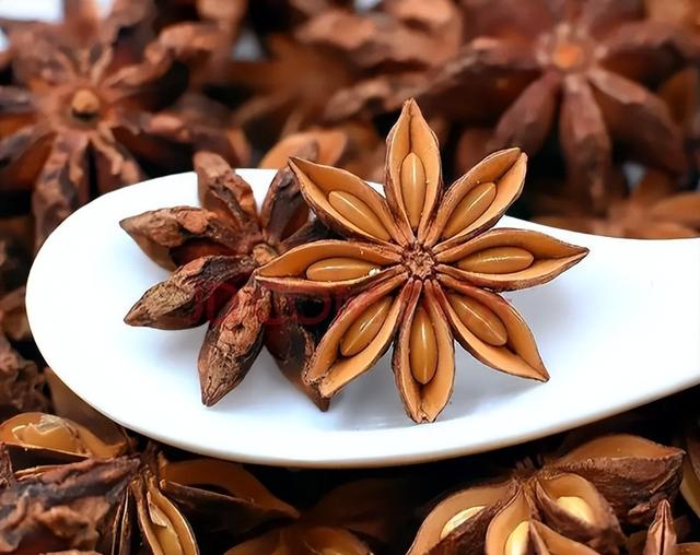 大茴香是八角吗，大茴是八角吗（地位“尴尬”的茴香）