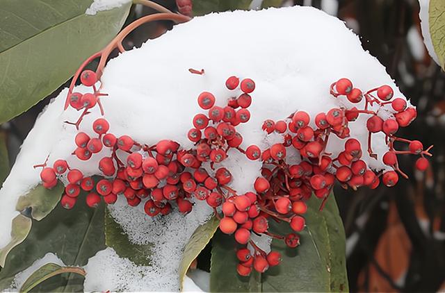 2021年冬至是农历几月几号，2021冬至是农历的几月几日（冬至在月头、月腰或者月尾）