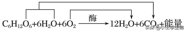 溴麝香草酚蓝怎么来的，高中生物易错题NO.7