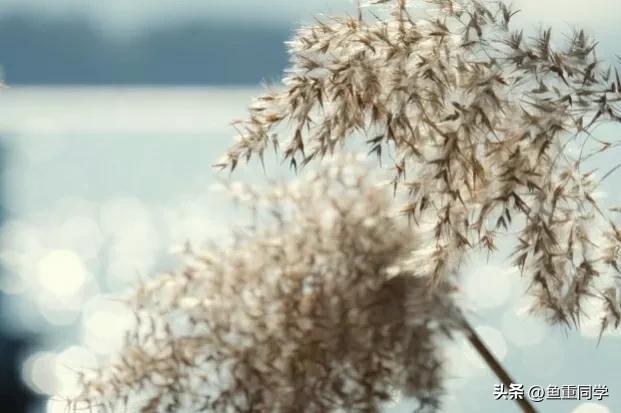 清明节气谚语有哪些 清明节的农事谚语和天气谚语，清明节气谚语有哪些（天气预报：重阳节将至）