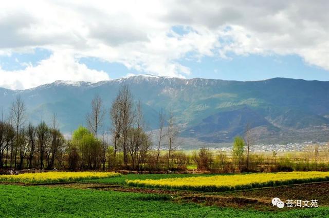张宇璇（何雨璇），何雨璇的图片（小诗会 ， 这里永远是春天）