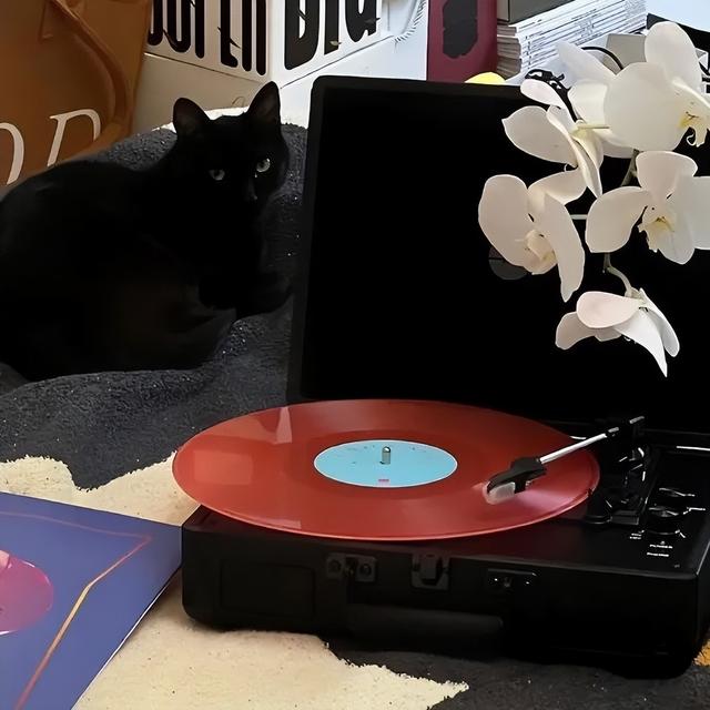 表达自己不开心的说说句子，表达自己不开心的说说句子简短（适合心情失落的发圈文案）