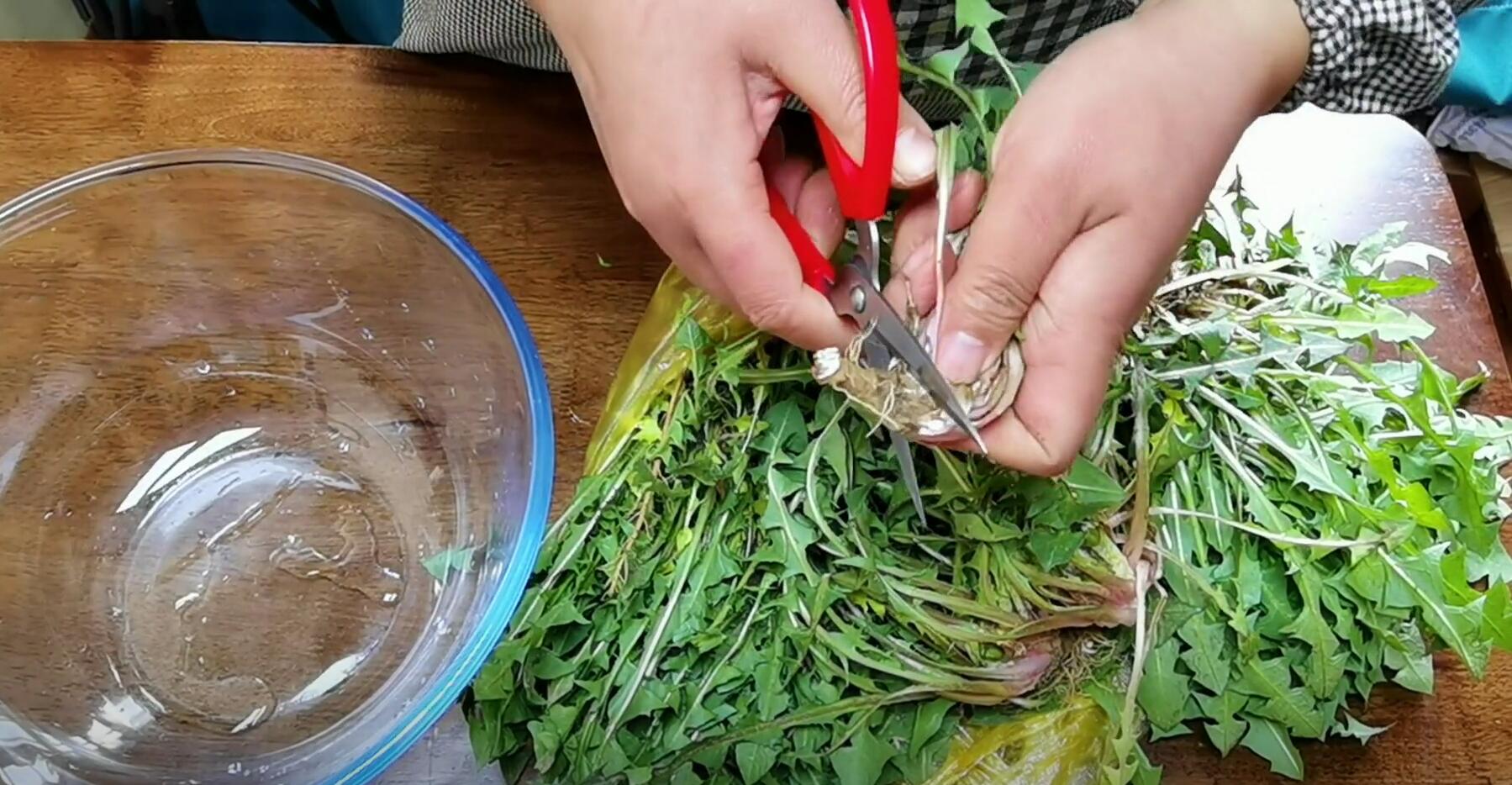 护肝第一名的野菜，养肝护肝第一名（藏在草丛中的“护肝猛将”）