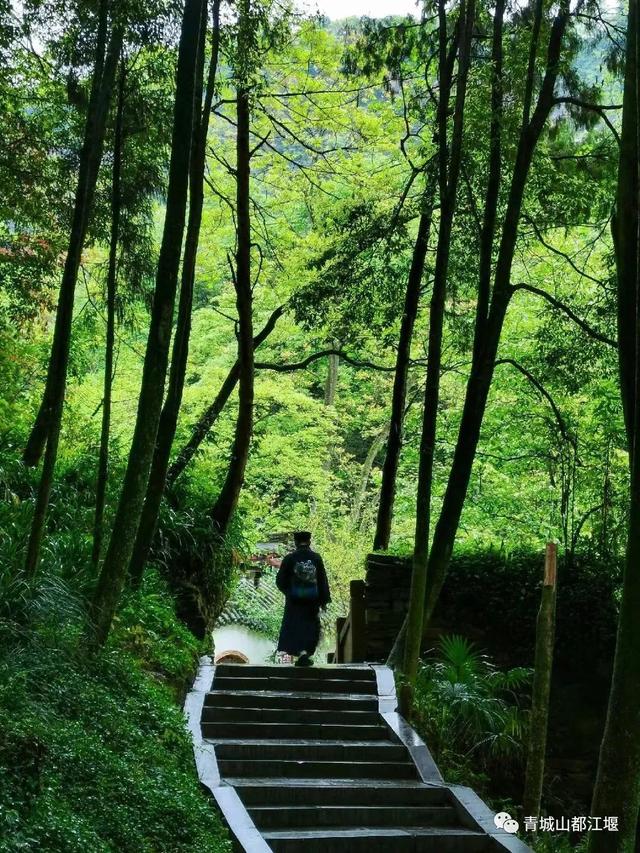 都江堰有什么好玩的旅游景点，都江堰有什么好玩的旅游景点便宜（光影摩天轮、林荫秘境、悬空索桥...都江堰8处超浪漫打卡地）