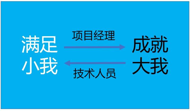 项目技术负责人（技术人员进阶）