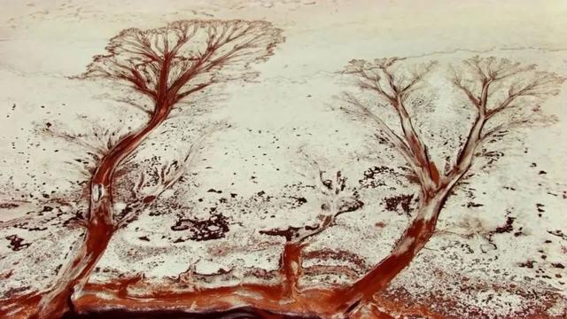 难以忽视的真相观后感，难以忽视的真相2观后感（为何如此根深蒂固）