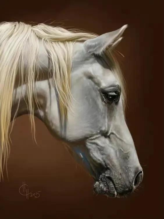 马头简笔画图片大全，马头简笔画（帅气马头绘画欣赏）