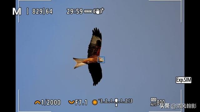 佳能eosr7和r6哪个好，编译：佳能