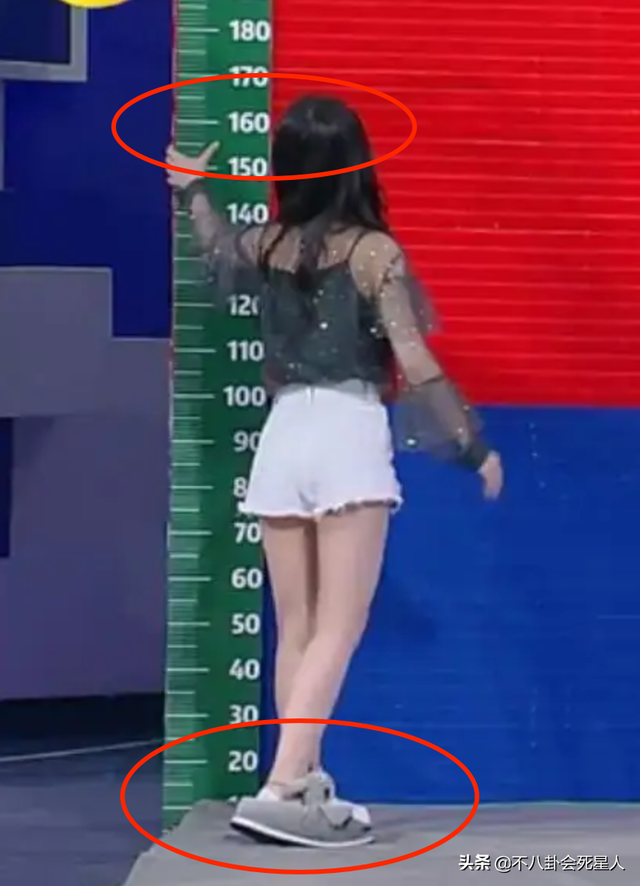 李维嘉身高，何炅和李维嘉的身高是多少（穿高跷、垫木板、踩箱子）