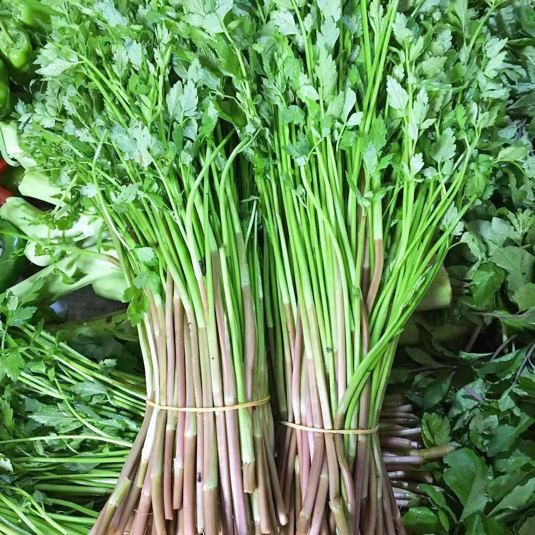 农村能吃的100种野菜图片,有哪些野菜可以吃 农村能吃的100种野菜图片,有哪些野菜可以吃