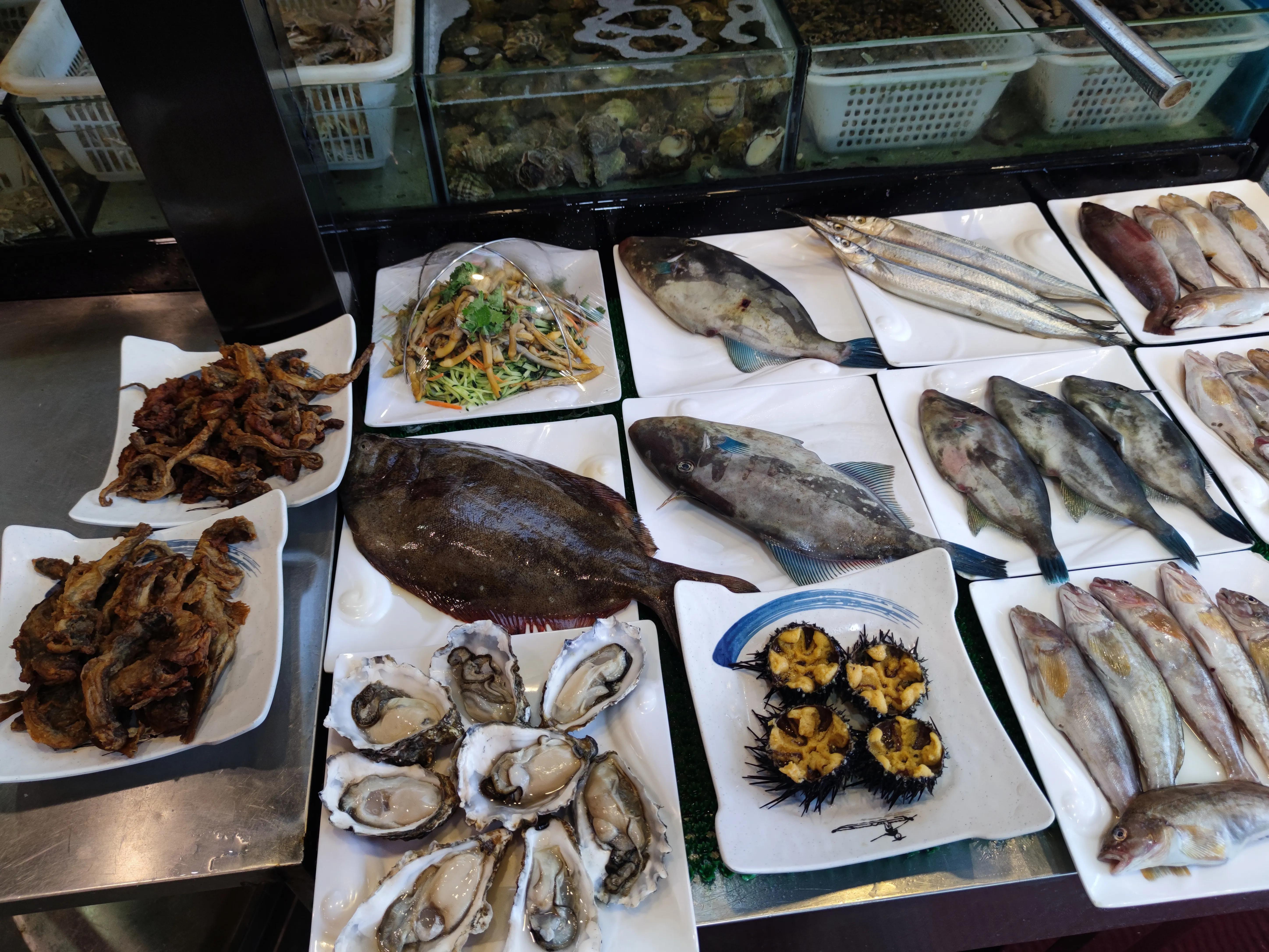 大连海肠多少钱一斤(曾是穷人的食物) - 价格百科