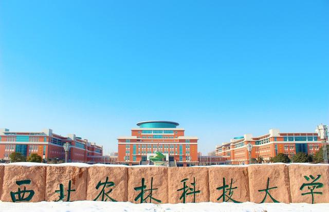 中国海洋大学怎么样，中国海洋大学（哪一所才是实力最弱的）