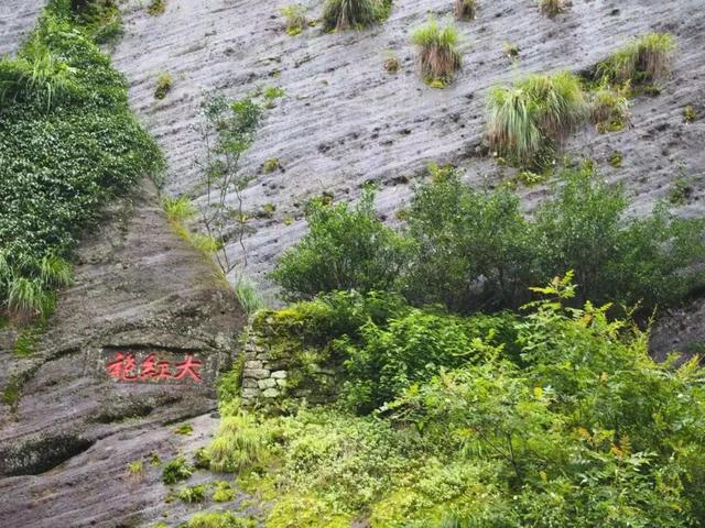 中国最贵茶叶排名价格表，中国最贵的茶叶排名是什么（中国最贵的十大天价茶）