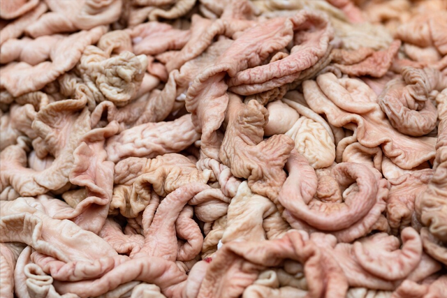 猪大肠怎么做好吃，新鲜猪大肠怎么做好吃（老屠夫教你详细步骤）