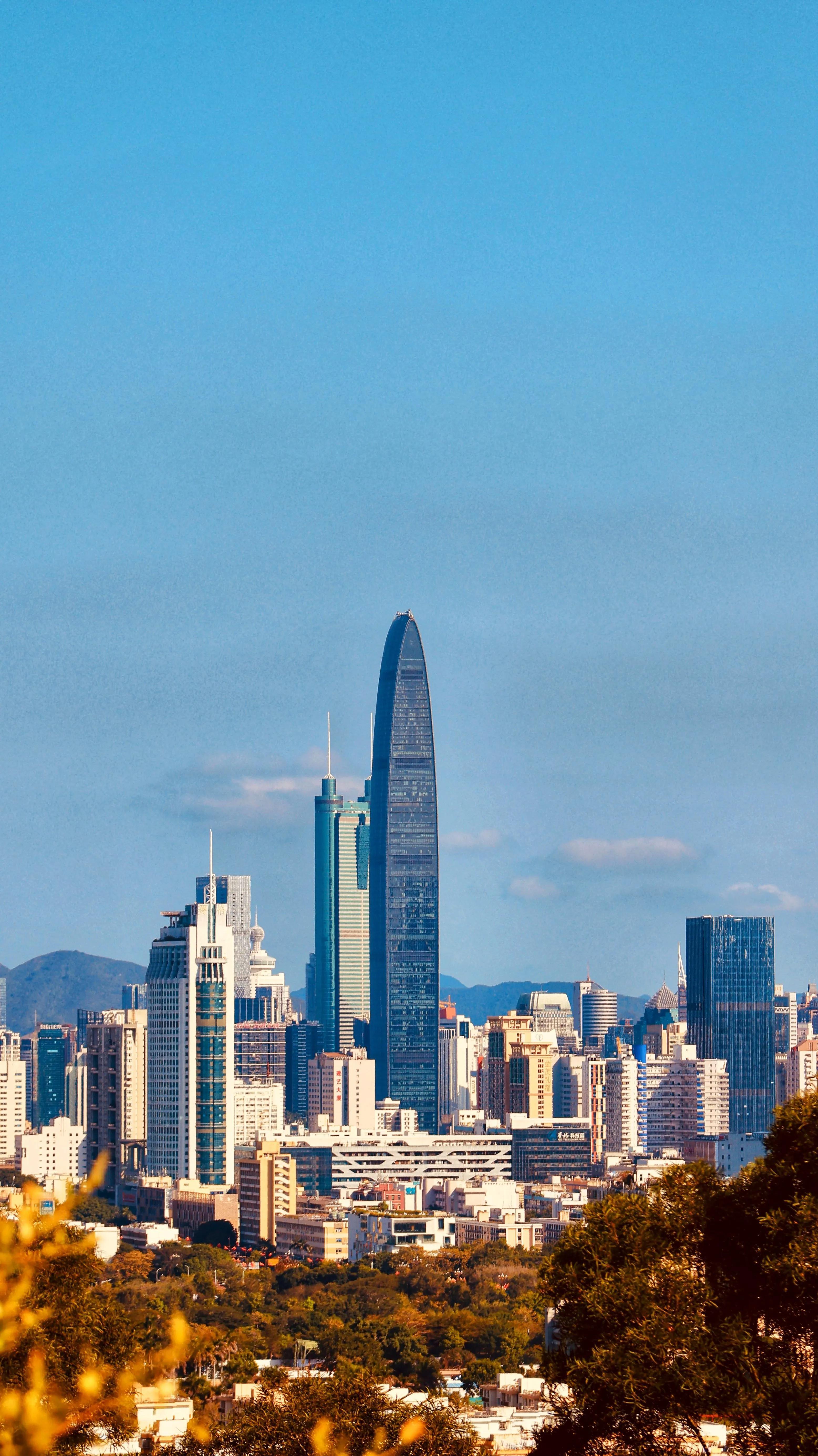深圳市区是哪个区(深圳三大中心区)