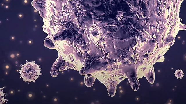 蜉蝣是什么动物，地球上会有“永生”的生物吗