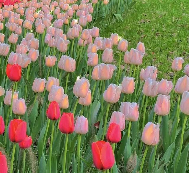 qq空间背景图，如何更换QQ空间全屏背景图（好看的空间背景图）