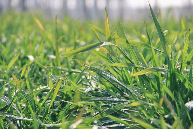 籍贯怎么填写，籍贯怎么填写表格（籍贯究竟什么，我们要注意这些）