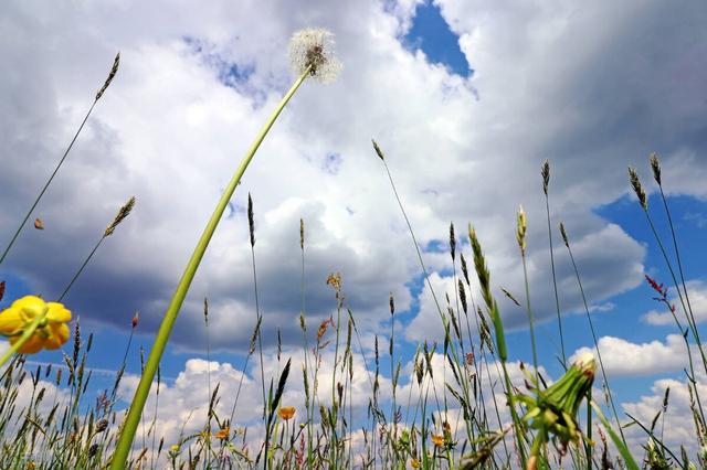 保持缄默什么意思，保持缄默是什么意思（部编版语文八下第七八课“读读写写”字词故事创作）