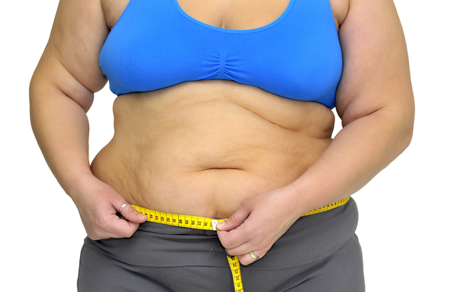 人体的九大系统分别是什么，人体有哪九大系统组成（胖一点是福气？NoNoNo）