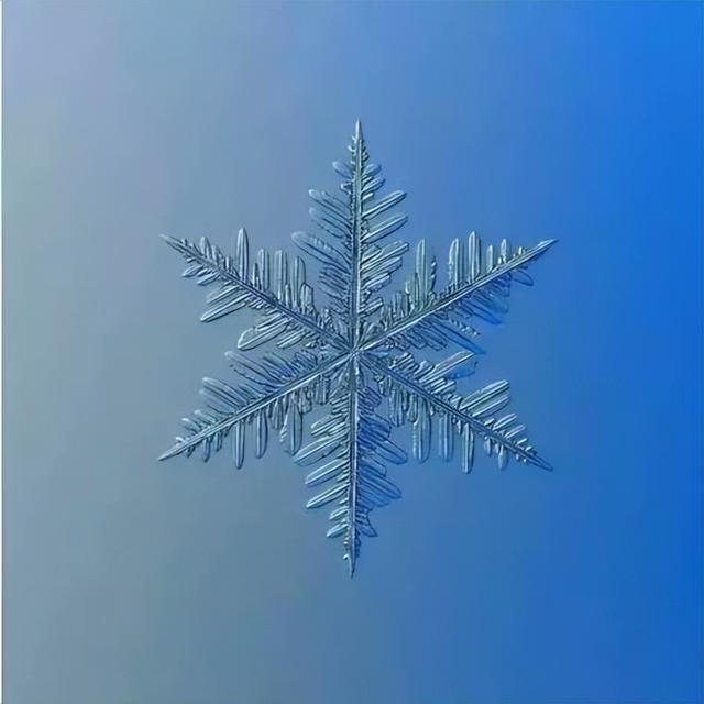 二年级贺年片怎么做好看，二年级贺年片怎么做好看的（2008年二年级学生小作文三则）
