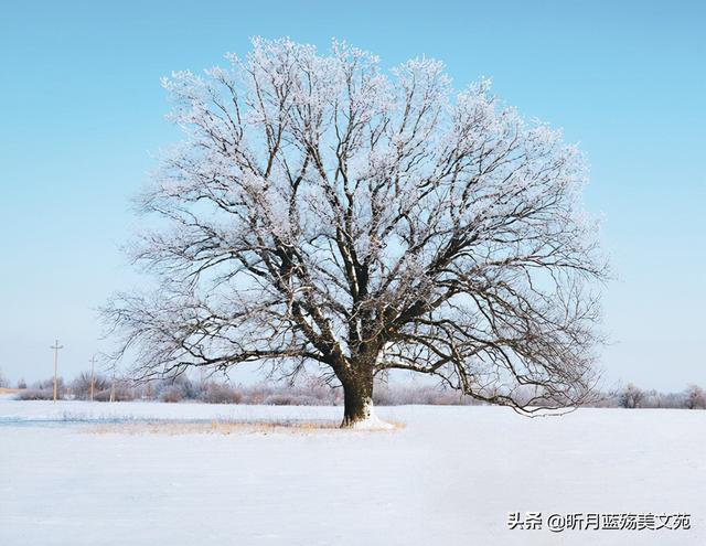 初识的美好唯美句子，初见相遇的唯美句子（最美好的遇见）